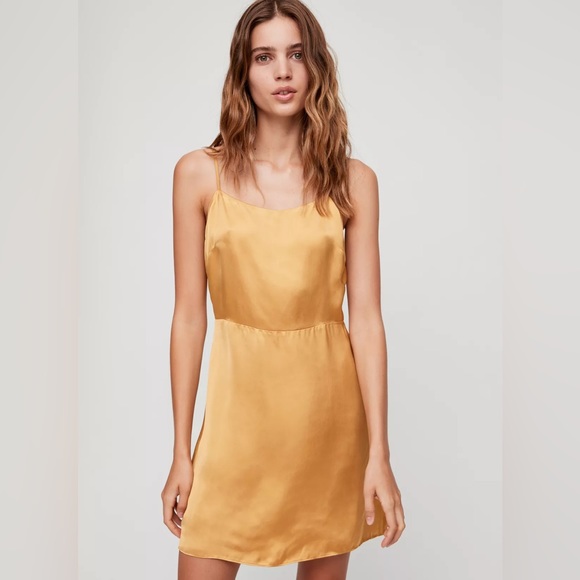 Aritzia Wilfred Isabelle Dress - Picture 2 of 4